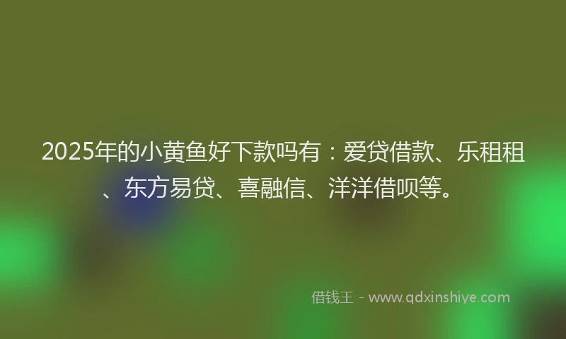 2025年的小黄鱼好下款吗有：爱贷借款、乐租租、东方易贷、喜融信、洋洋借呗等。