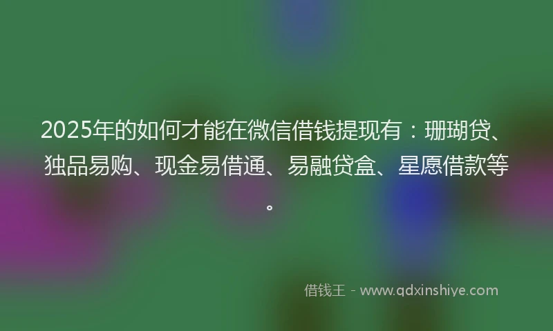 2025年的如何才能在微信借钱提现有：珊瑚贷、独品易购、现金易借通、易融贷盒、星愿借款等。