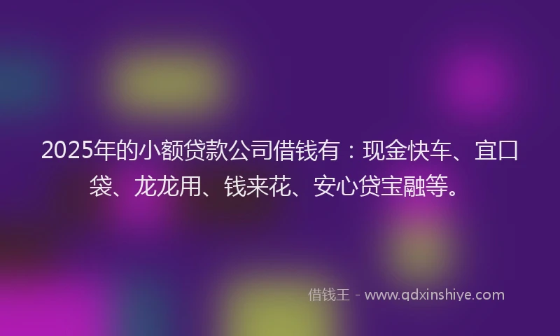 2025年的小额贷款公司借钱有：现金快车、宜口袋、龙龙用、钱来花、安心贷宝融等。