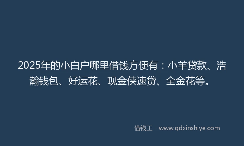2025年的小白户哪里借钱方便有：小羊贷款、浩瀚钱包、好运花、现金侠速贷、全金花等。