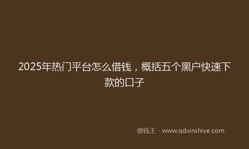 2025年热门平台怎么借钱，概括五个黑户快速下款的口子
