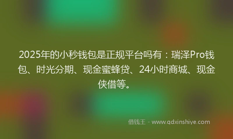 2025年的小秒钱包是正规平台吗有：瑞泽Pro钱包、时光分期、现金蜜蜂贷、24小时商城、现金侠借等。
