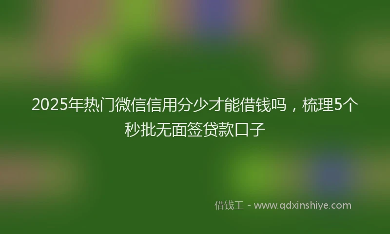 2025年热门微信信用分少才能借钱吗，梳理5个秒批无面签贷款口子