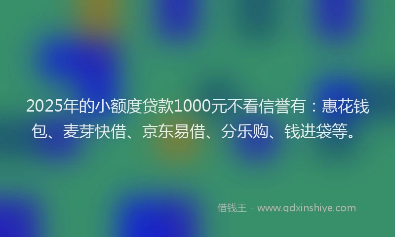 2025年的小额度贷款1000元不看信誉有：惠花钱包、麦芽快借、京东易借、分乐购、钱进袋等。