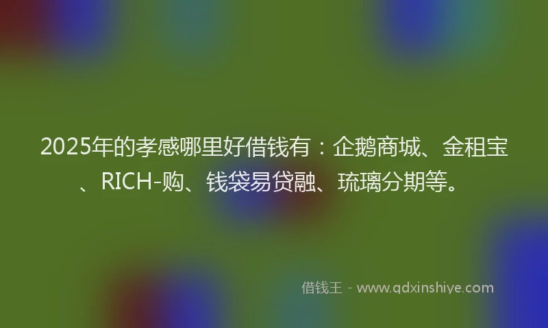 2025年的孝感哪里好借钱有：企鹅商城、金租宝、RICH-购、钱袋易贷融、琉璃分期等。