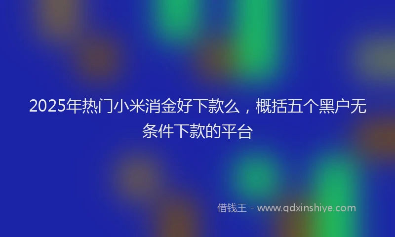 2025年热门小米消金好下款么，概括五个黑户无条件下款的平台