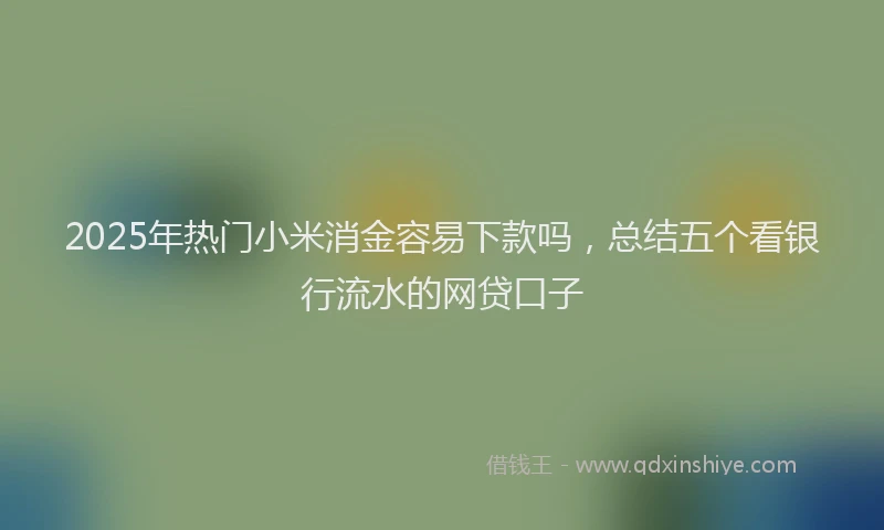 2025年热门小米消金容易下款吗，总结五个看银行流水的网贷口子