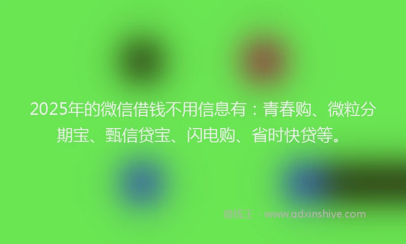 2025年的微信借钱不用信息有：青春购、微粒分期宝、甄信贷宝、闪电购、省时快贷等。