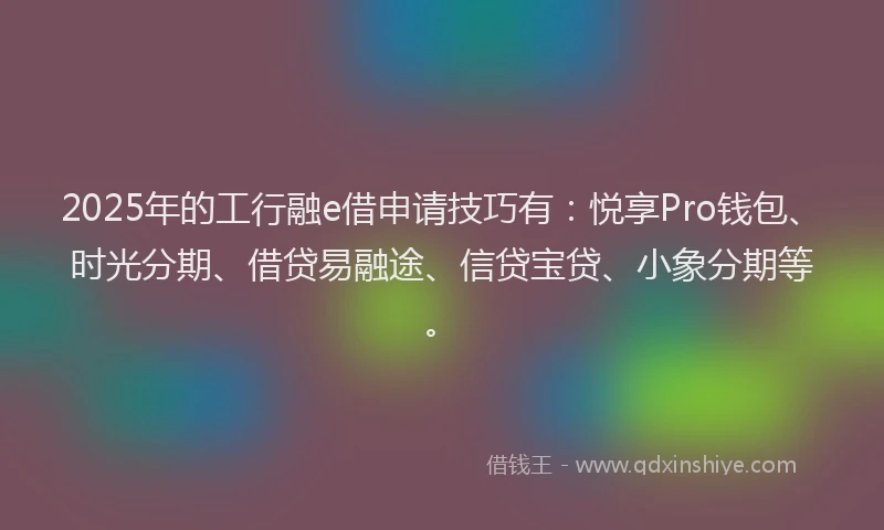 2025年的工行融e借申请技巧有：悦享Pro钱包、时光分期、借贷易融途、信贷宝贷、小象分期等。