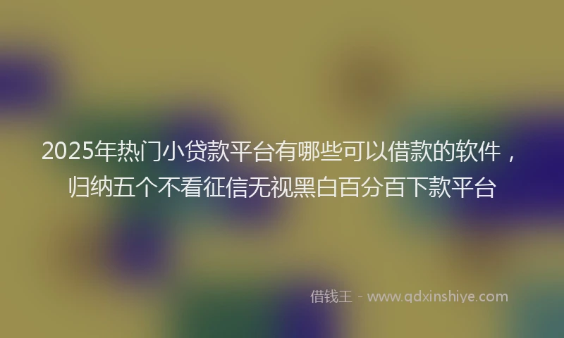 2025年热门小贷款平台有哪些可以借款的软件，归纳五个不看征信无视黑白百分百下款平台