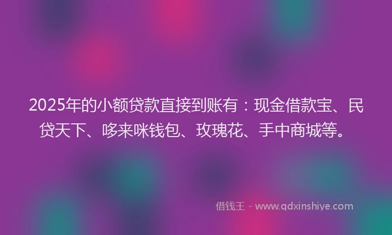 2025年的小额贷款直接到账有：现金借款宝、民贷天下、哆来咪钱包、玫瑰花、手中商城等。
