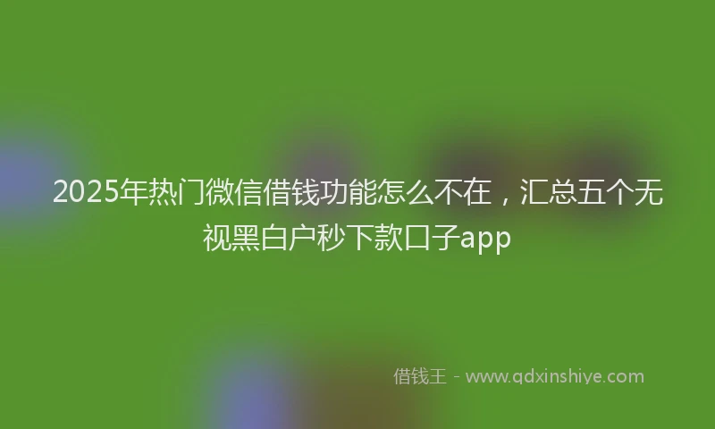 2025年热门微信借钱功能怎么不在，汇总五个无视黑白户秒下款口子app