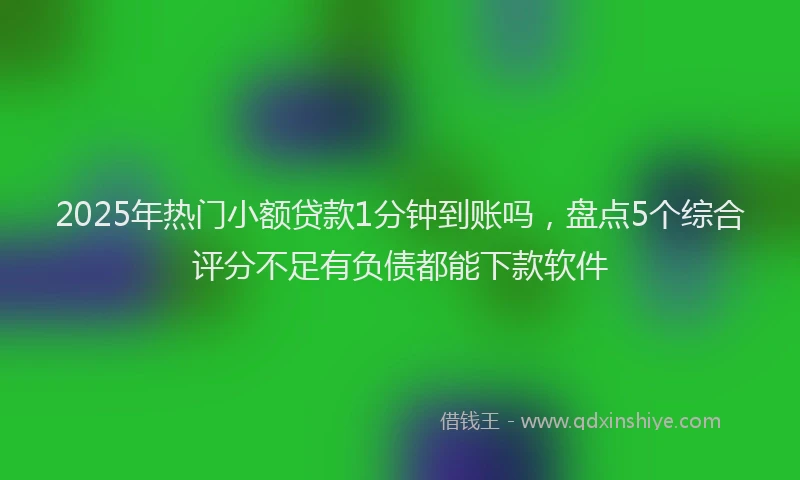 2025年热门小额贷款1分钟到账吗，盘点5个综合评分不足有负债都能下款软件
