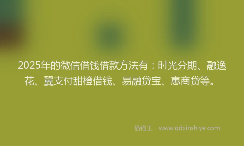 2025年的微信借钱借款方法有：时光分期、融逸花、翼支付甜橙借钱、易融贷宝、惠商贷等。