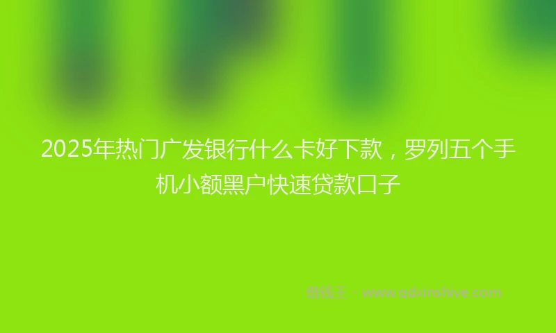 2025年热门广发银行什么卡好下款，罗列五个手机小额黑户快速贷款口子