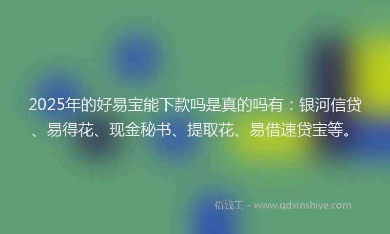 2025年的好易宝能下款吗是真的吗有：银河信贷、易得花、现金秘书、提取花、易借速贷宝等。