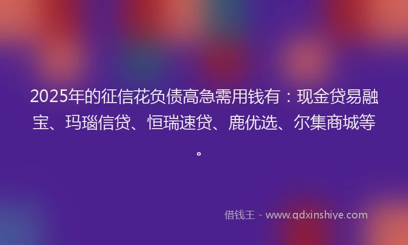 2025年的征信花负债高急需用钱有：现金贷易融宝、玛瑙信贷、恒瑞速贷、鹿优选、尔集商城等。