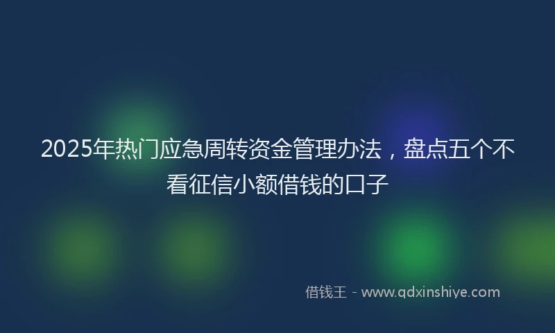 2025年热门应急周转资金管理办法，盘点五个不看征信小额借钱的口子