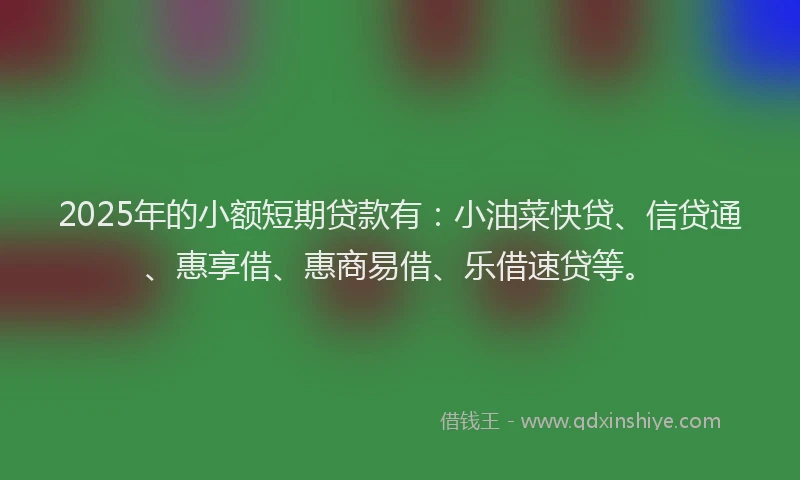 2025年的小额短期贷款有：小油菜快贷、信贷通、惠享借、惠商易借、乐借速贷等。
