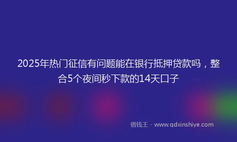 2025年热门征信有问题能在银行抵押贷款吗，整合5个夜间秒下款的14天口子