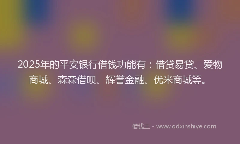 2025年的平安银行借钱功能有：借贷易贷、爱物商城、森森借呗、辉誉金融、优米商城等。