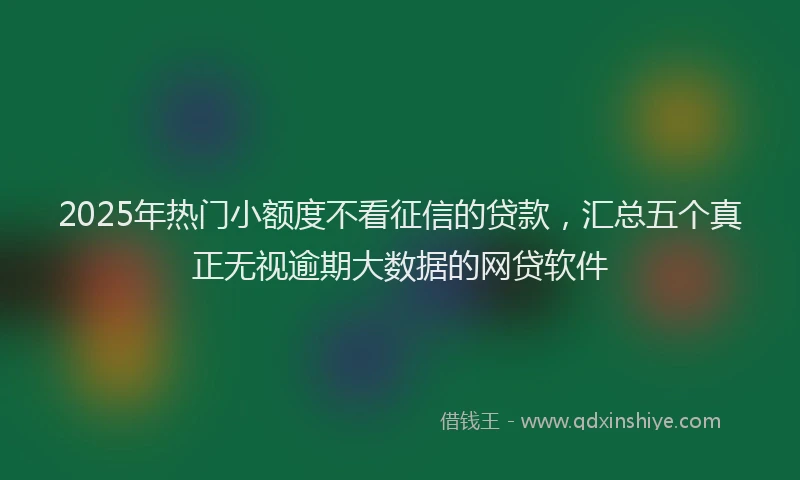 2025年热门小额度不看征信的贷款，汇总五个真正无视逾期大数据的网贷软件