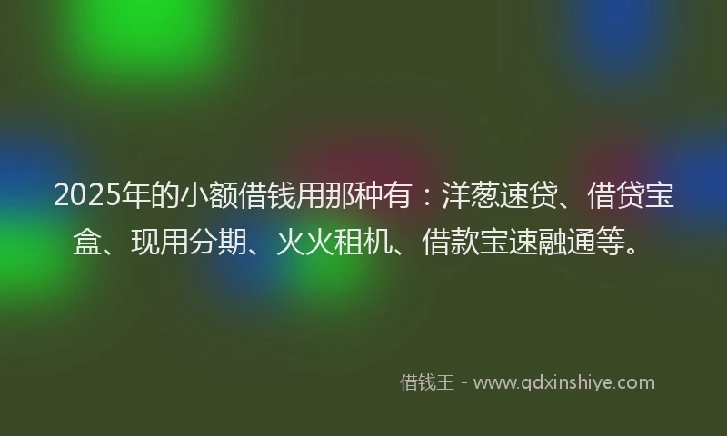 2025年的小额借钱用那种有：洋葱速贷、借贷宝盒、现用分期、火火租机、借款宝速融通等。