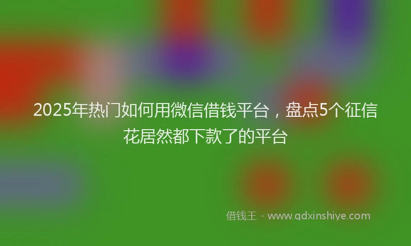2025年热门如何用微信借钱平台，盘点5个征信花居然都下款了的平台