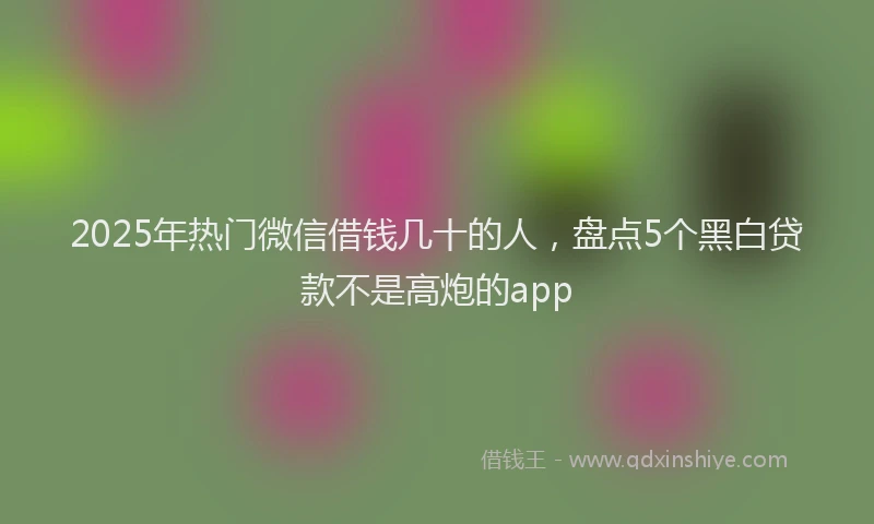 2025年热门微信借钱几十的人，盘点5个黑白贷款不是高炮的app