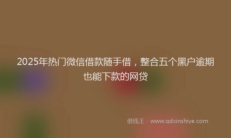 2025年热门微信借款随手借，整合五个黑户逾期也能下款的网贷