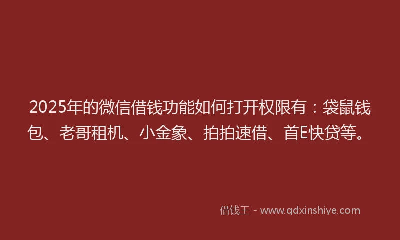2025年的微信借钱功能如何打开权限有：袋鼠钱包、老哥租机、小金象、拍拍速借、首E快贷等。