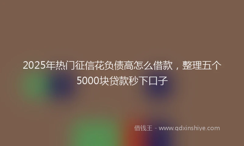 2025年热门征信花负债高怎么借款，整理五个5000块贷款秒下口子