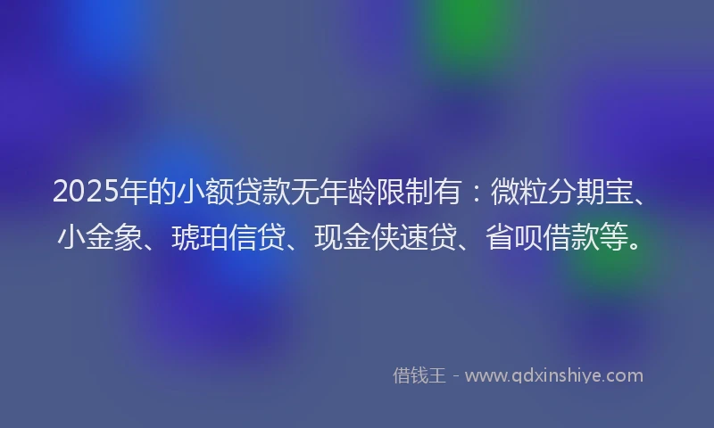 2025年的小额贷款无年龄限制有：微粒分期宝、小金象、琥珀信贷、现金侠速贷、省呗借款等。