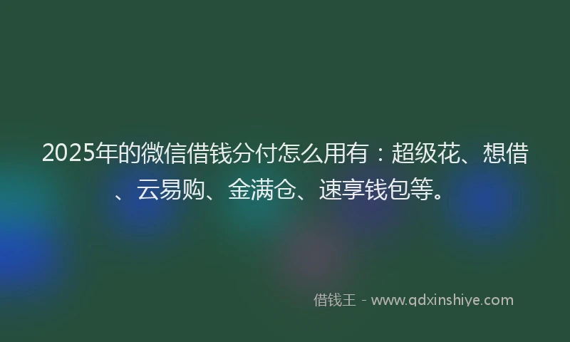 2025年的微信借钱分付怎么用有：超级花、想借、云易购、金满仓、速享钱包等。