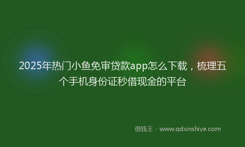 2025年热门小鱼免审贷款app怎么下载，梳理五个手机身份证秒借现金的平台