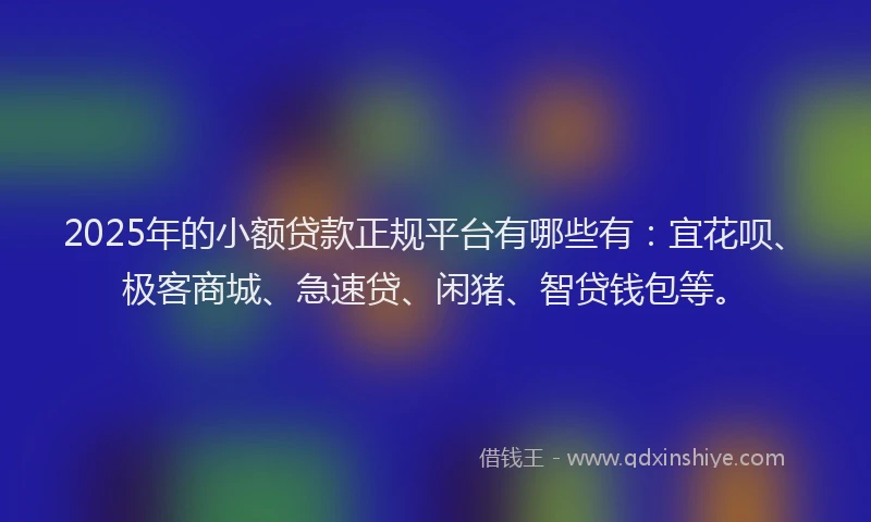 2025年的小额贷款正规平台有哪些有：宜花呗、极客商城、急速贷、闲猪、智贷钱包等。