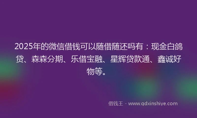 2025年的微信借钱可以随借随还吗有：现金白鸽贷、森森分期、乐借宝融、星辉贷款通、鑫诚好物等。