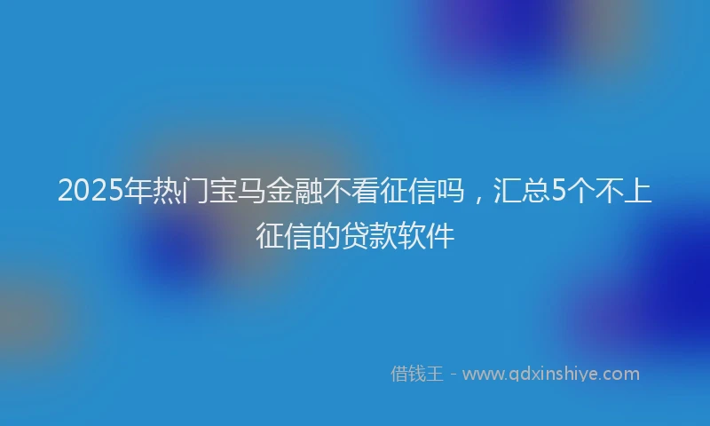 2025年热门宝马金融不看征信吗，汇总5个不上征信的贷款软件