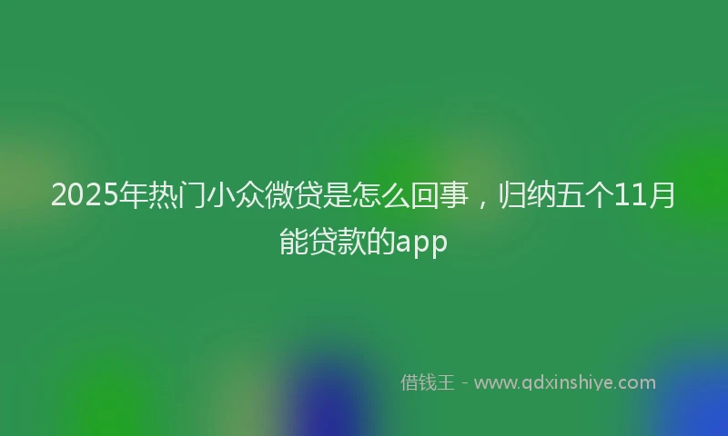 2025年热门小众微贷是怎么回事，归纳五个11月能贷款的app