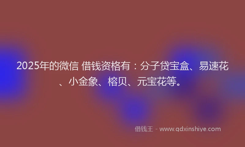 2025年的微信 借钱资格有：分子贷宝盒、易速花、小金象、榕贝、元宝花等。