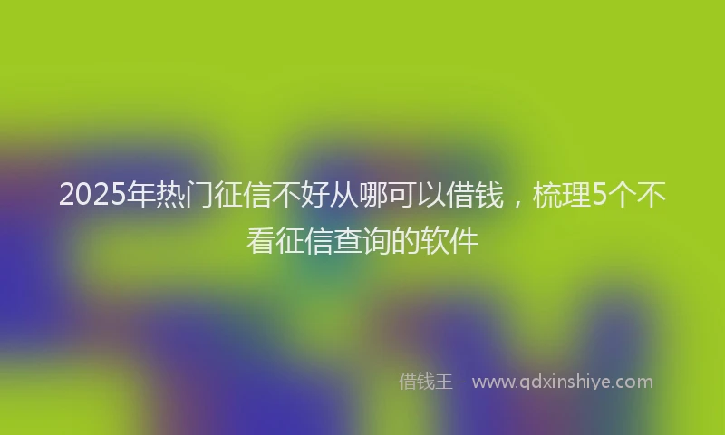 2025年热门征信不好从哪可以借钱，梳理5个不看征信查询的软件
