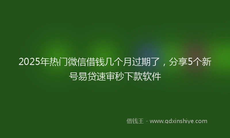 2025年热门微信借钱几个月过期了，分享5个新号易贷速审秒下款软件
