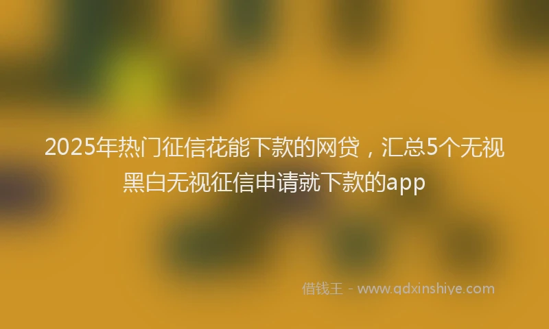 2025年热门征信花能下款的网贷，汇总5个无视黑白无视征信申请就下款的app