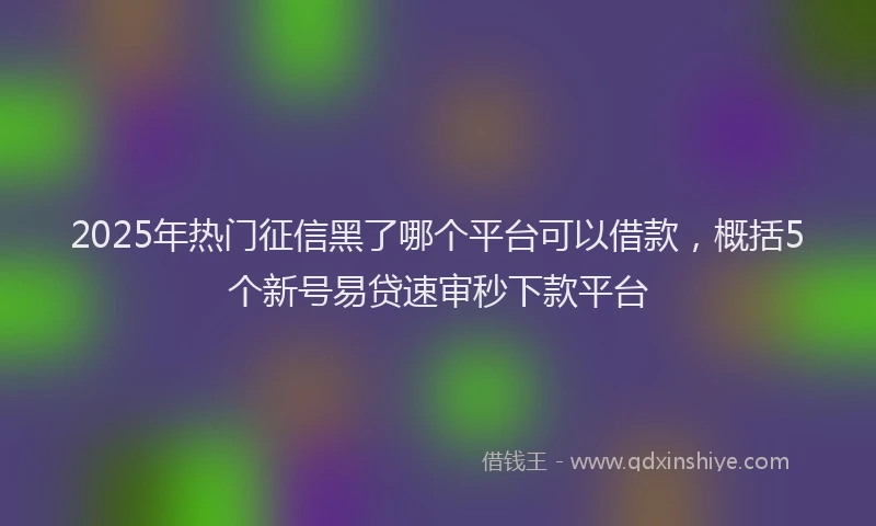 2025年热门征信黑了哪个平台可以借款，概括5个新号易贷速审秒下款平台
