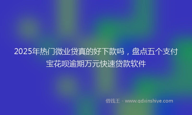 2025年热门微业贷真的好下款吗，盘点五个支付宝花呗逾期万元快速贷款软件