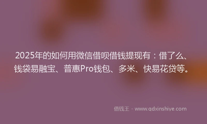 2025年的如何用微信借呗借钱提现有：借了么、钱袋易融宝、普惠Pro钱包、多米、快易花贷等。