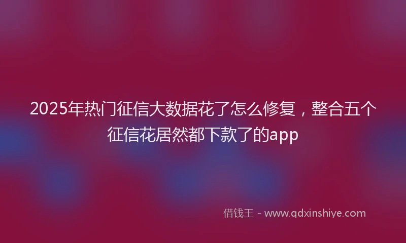 2025年热门征信大数据花了怎么修复，整合五个征信花居然都下款了的app