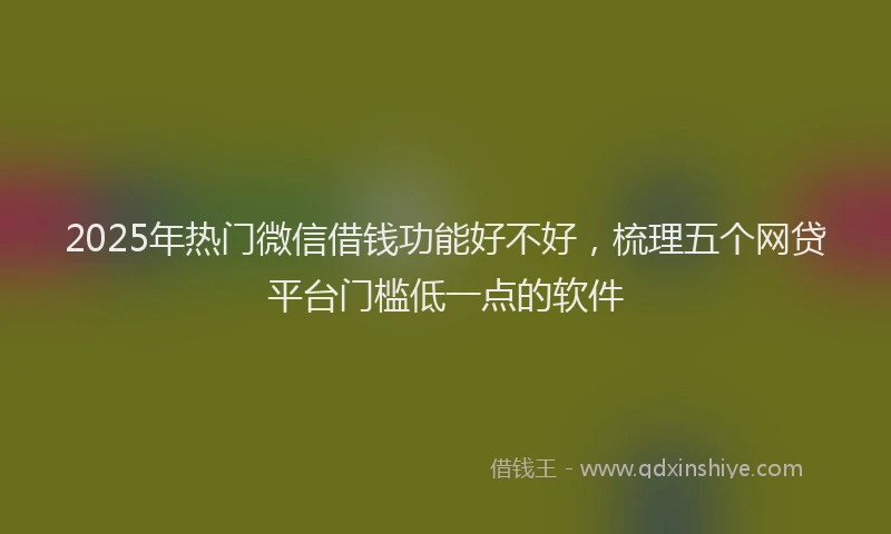2025年热门微信借钱功能好不好，梳理五个网贷平台门槛低一点的软件