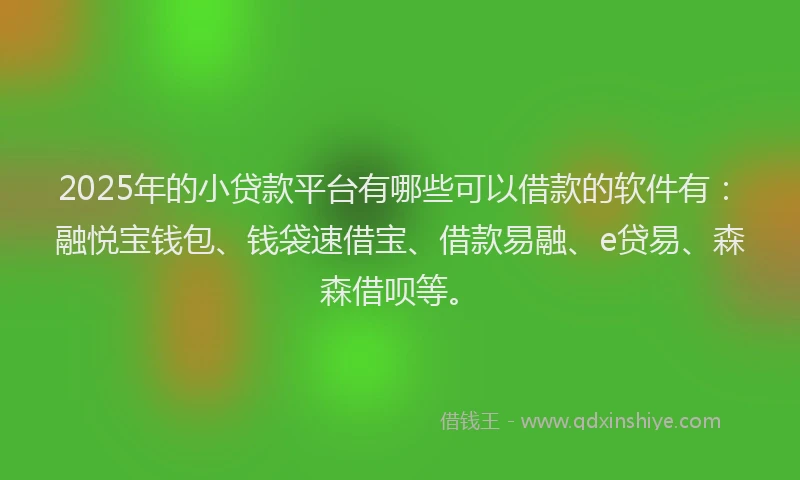2025年的小贷款平台有哪些可以借款的软件有：融悦宝钱包、钱袋速借宝、借款易融、e贷易、森森借呗等。