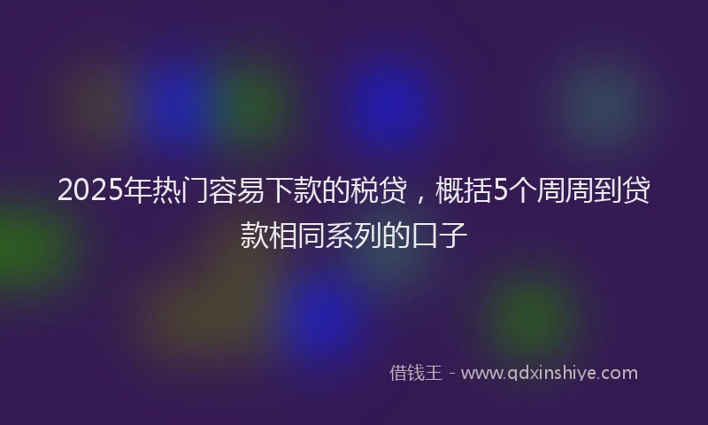 2025年热门容易下款的税贷，概括5个周周到贷款相同系列的口子